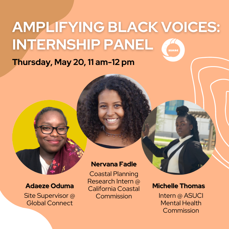 amplifying black voices: internship panel